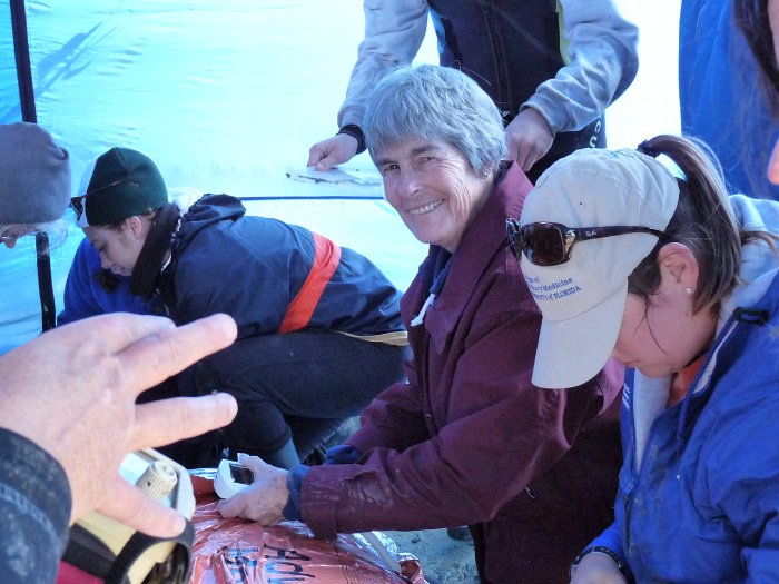Manatees2010 (25)